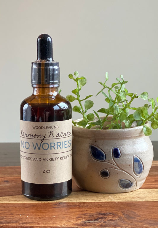 No Worries ~ Stress and Anxiety Tincture